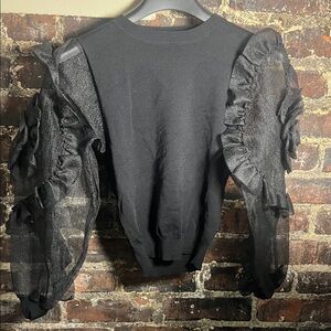 Chic Black Sheer Ruffle Sleeve Blouse